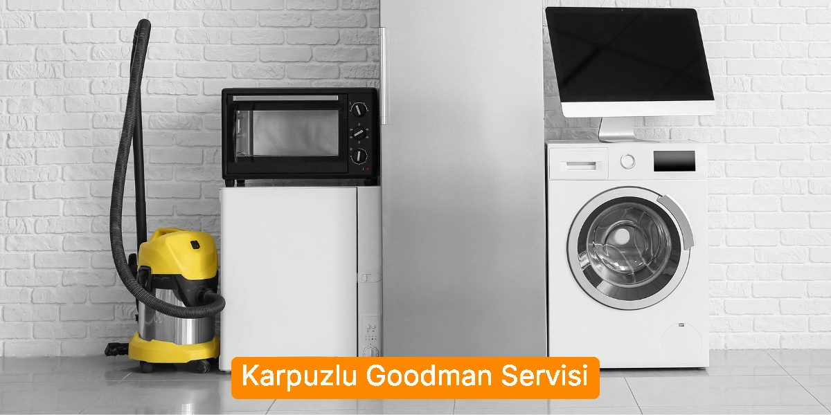 Karpuzlu Goodman Servisi