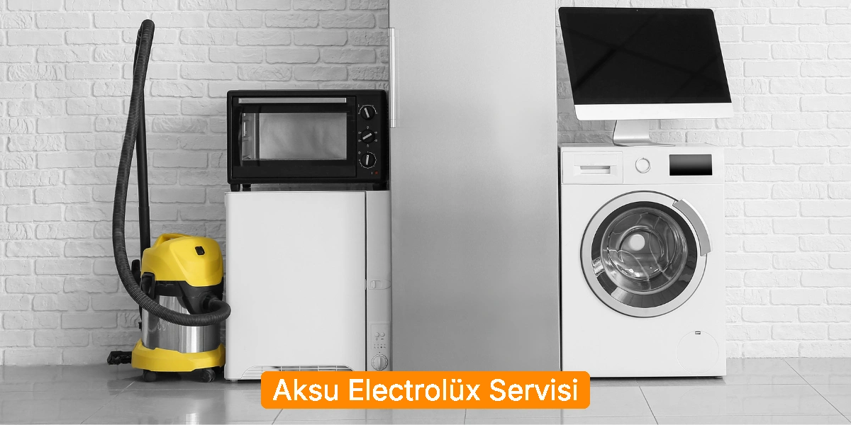 Aksu Electrolüx Servisi